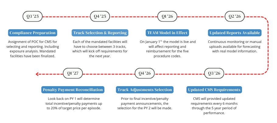 TEAM Model Timeline Infographic